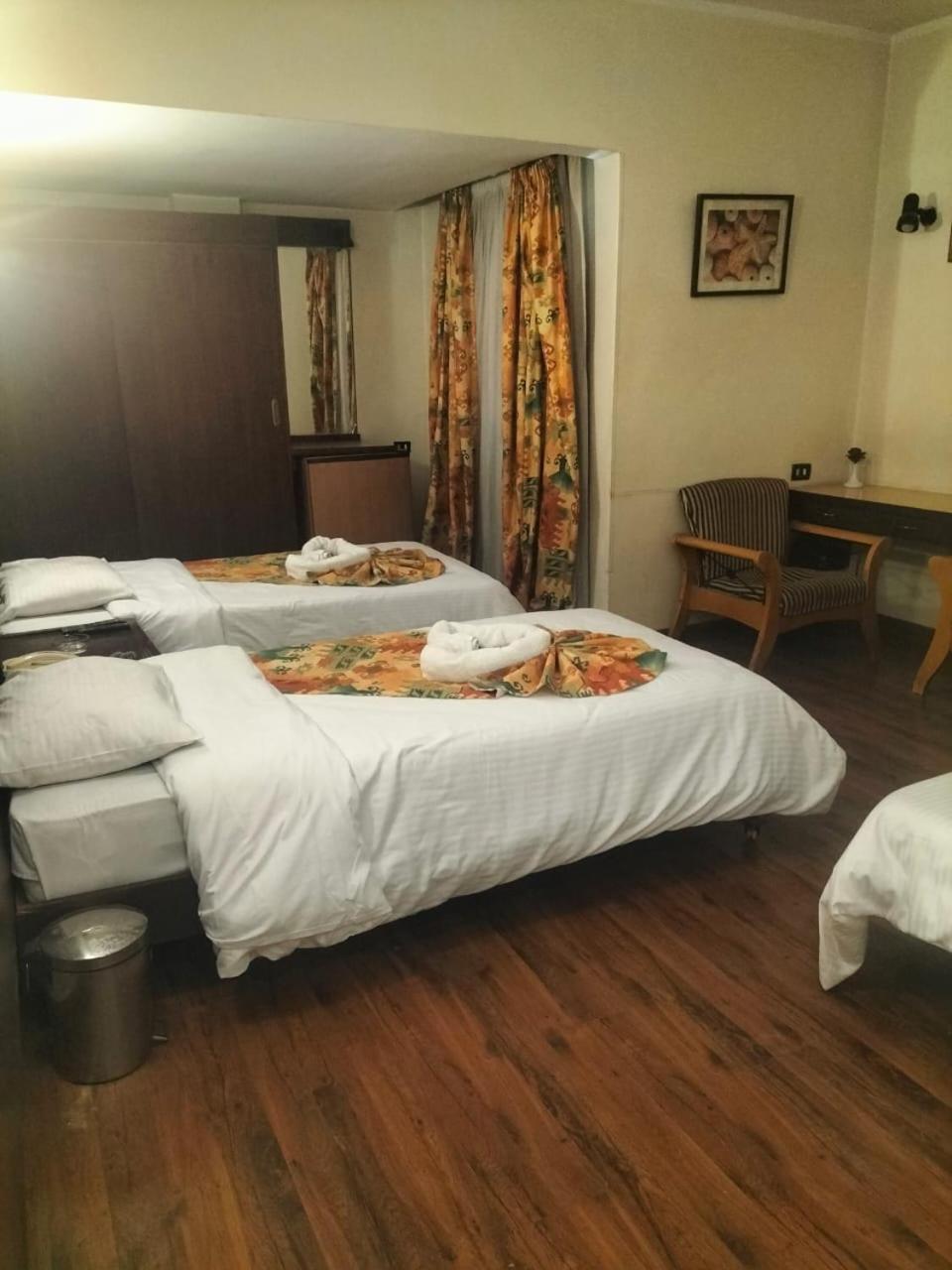 King Hotel Cairo Giza Εξωτερικό φωτογραφία